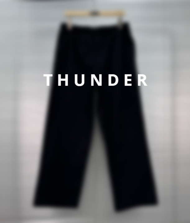 CC Blue Embroidered Casual Pants