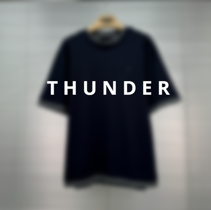 Faux Layered Crewneck T-Shirt