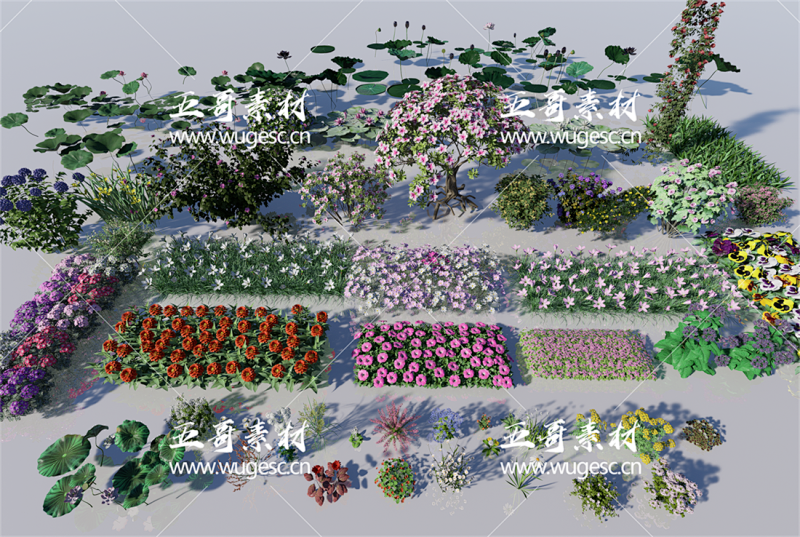 D5花卉模型本地素材库