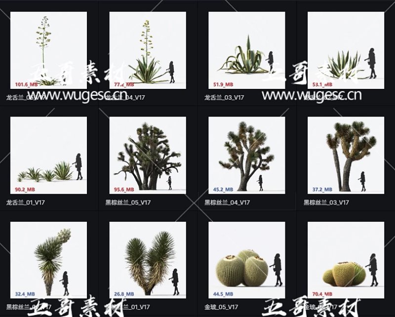 D5渲染器观赏植物模型库本地素材库