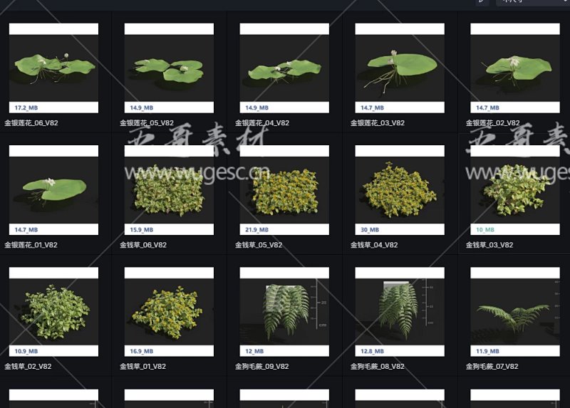 D5本地素材库水生植物模型150个