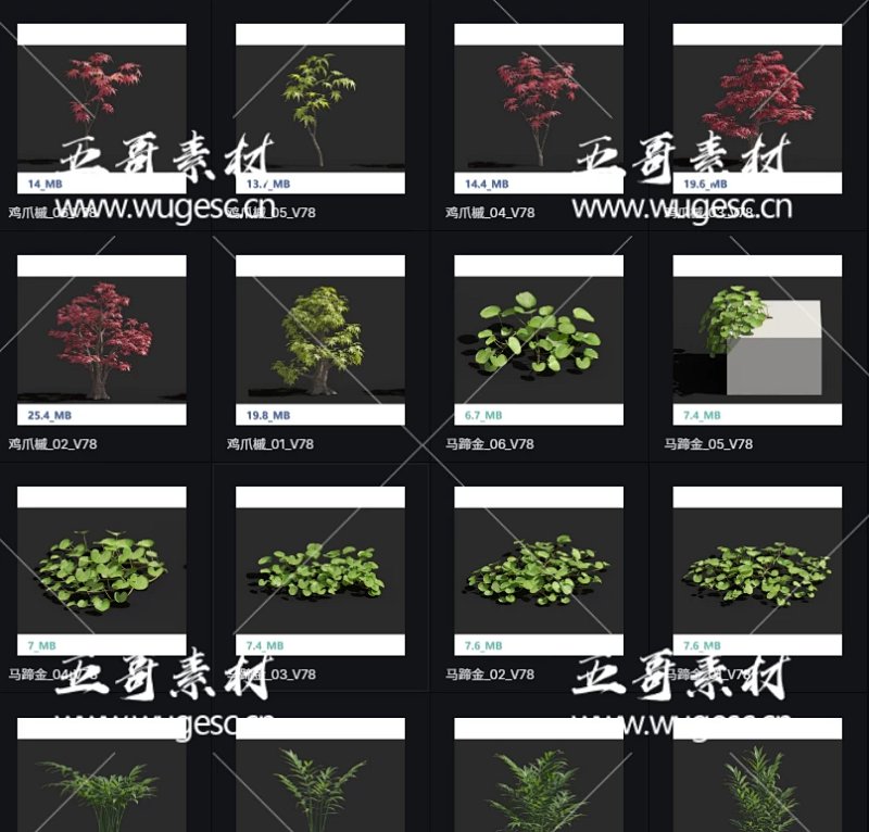 D5渲染器盆景植物模型库本地素材库