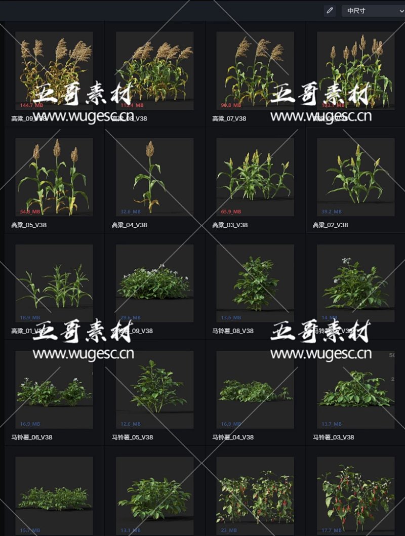 D5渲染器农作物蔬菜植物模型库本地素材库