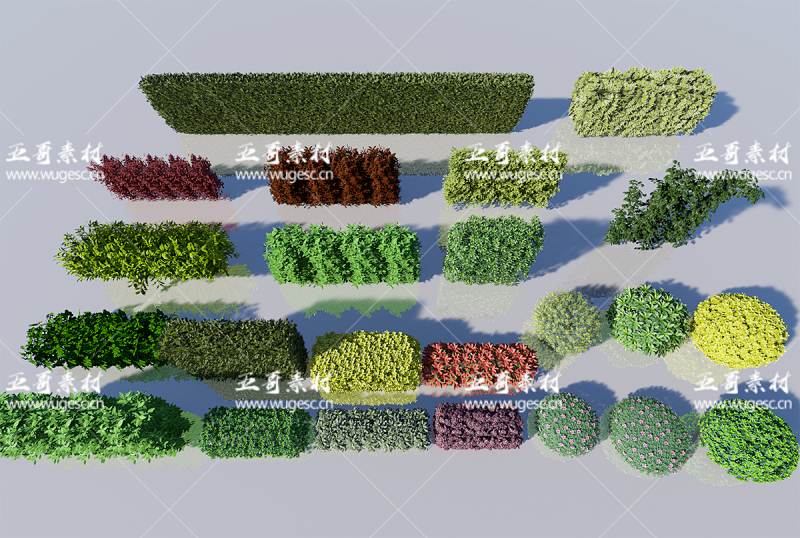 D5绿篱模型本地素材库第一期插图