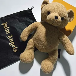 thumbnail for palm angles bear