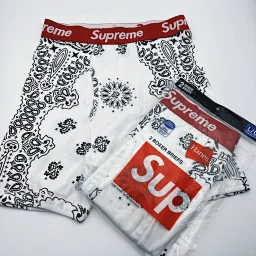 thumbnail for Hanes Boxer Briefs underwear