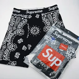 thumbnail for Hanes Boxer Briefs underwear