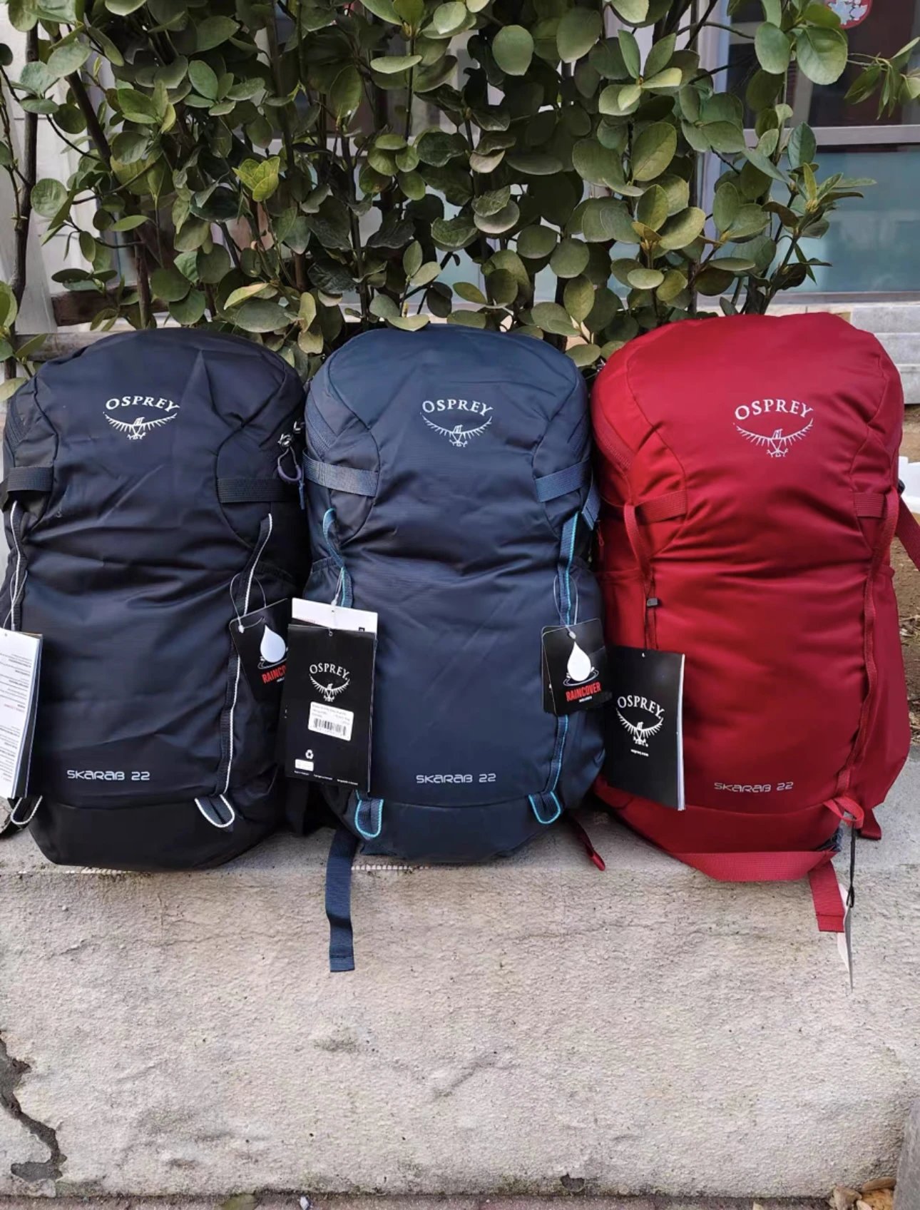 OSPREY Beetle Series 22L 30L 34L Professional Outdoor 3-Color Daypack Summit Pack Backpack for Men and Women