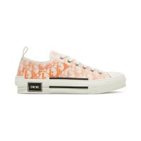 Dior Oblique - Orange