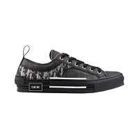 Dior Oblique - Black