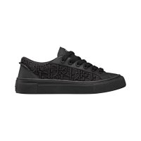 Dior Oblique Raised Embroidery - Black
