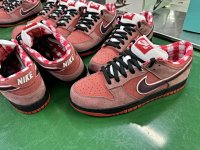 Nike SB Dunk Supreme Stars Barkroot Brown — seller photo 2