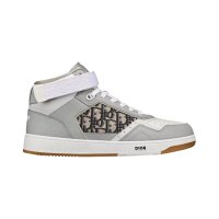 Dior Oblique - Grey