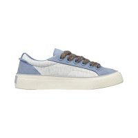 Dior Oblique - Blue Grey