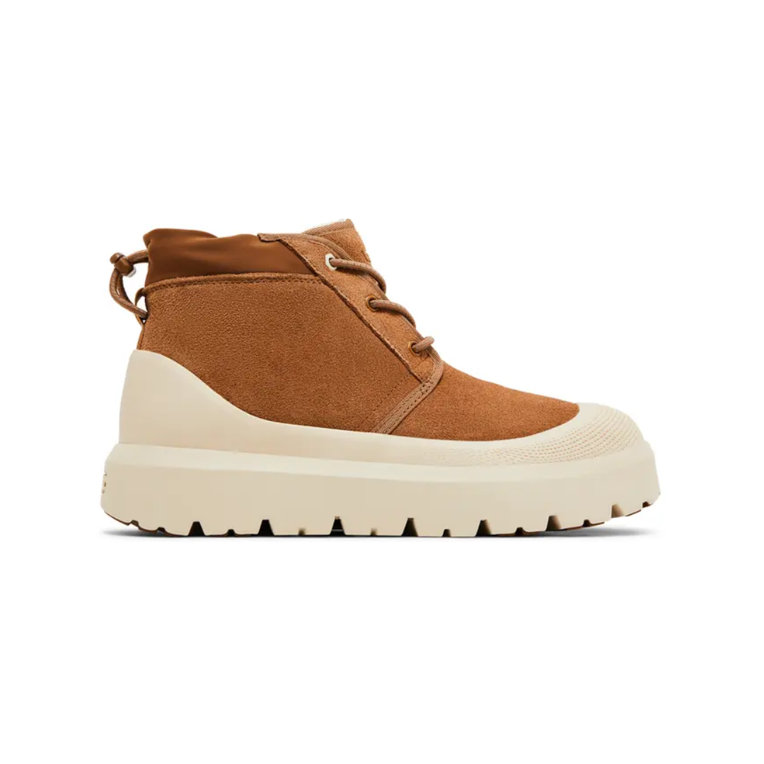 Neumel Weather Hybrid 'Chestnut Whitecap