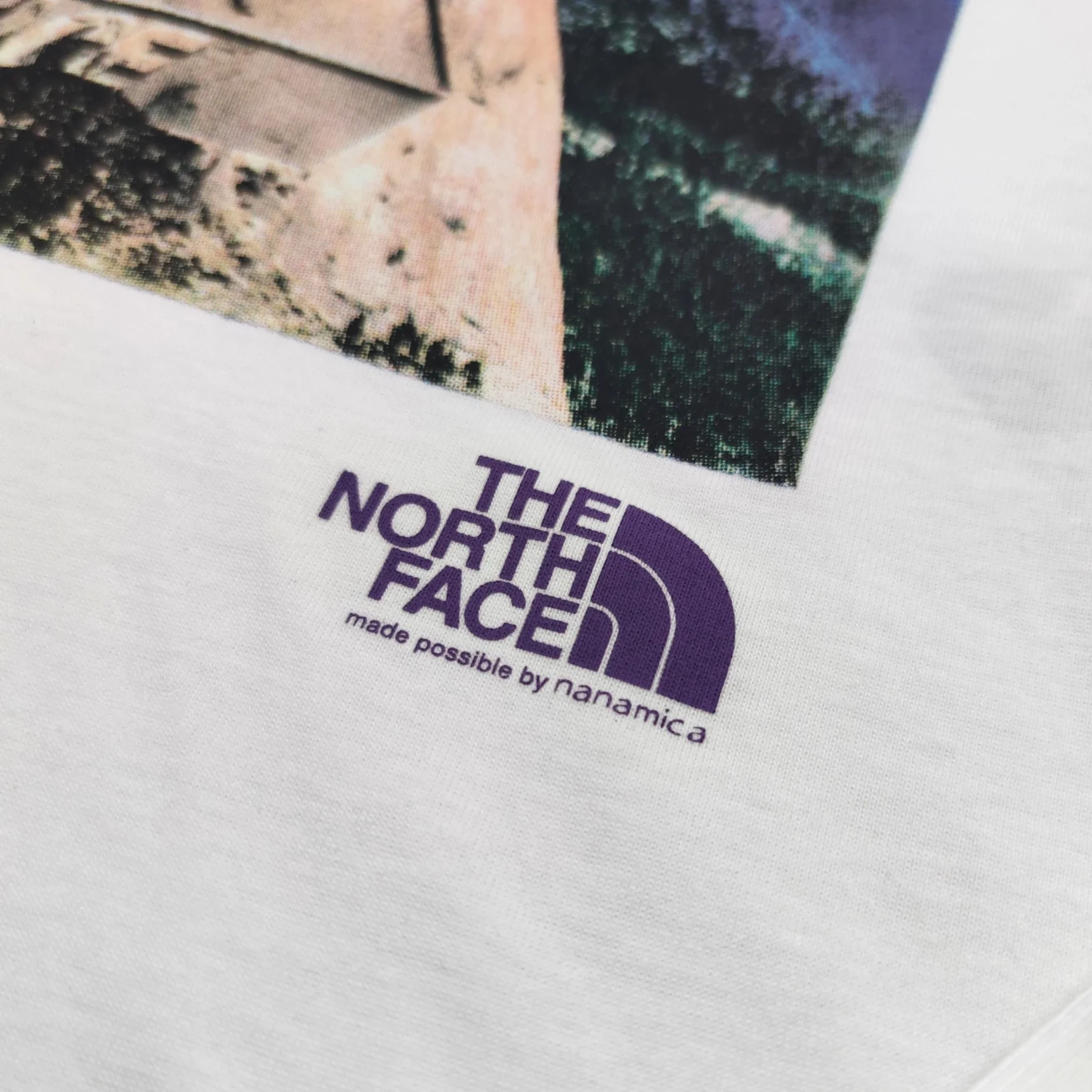 TNF x PALACE 联名款风景油画照片印花长袖T恤