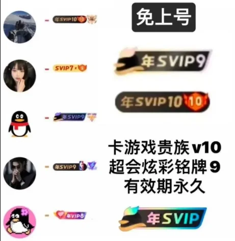 QQ会员系列永久特殊铭牌1积分-可倍拍（先看介绍）