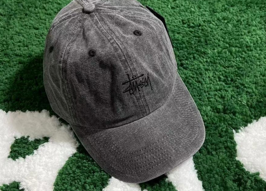 Wash Duck Tongue Cap