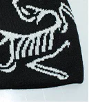 thumbnail for Beanies knitted hats