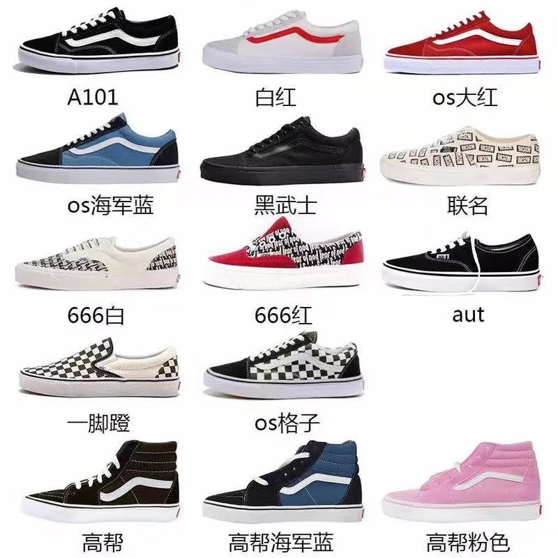 Vans SK8-HI Canvas Shoe