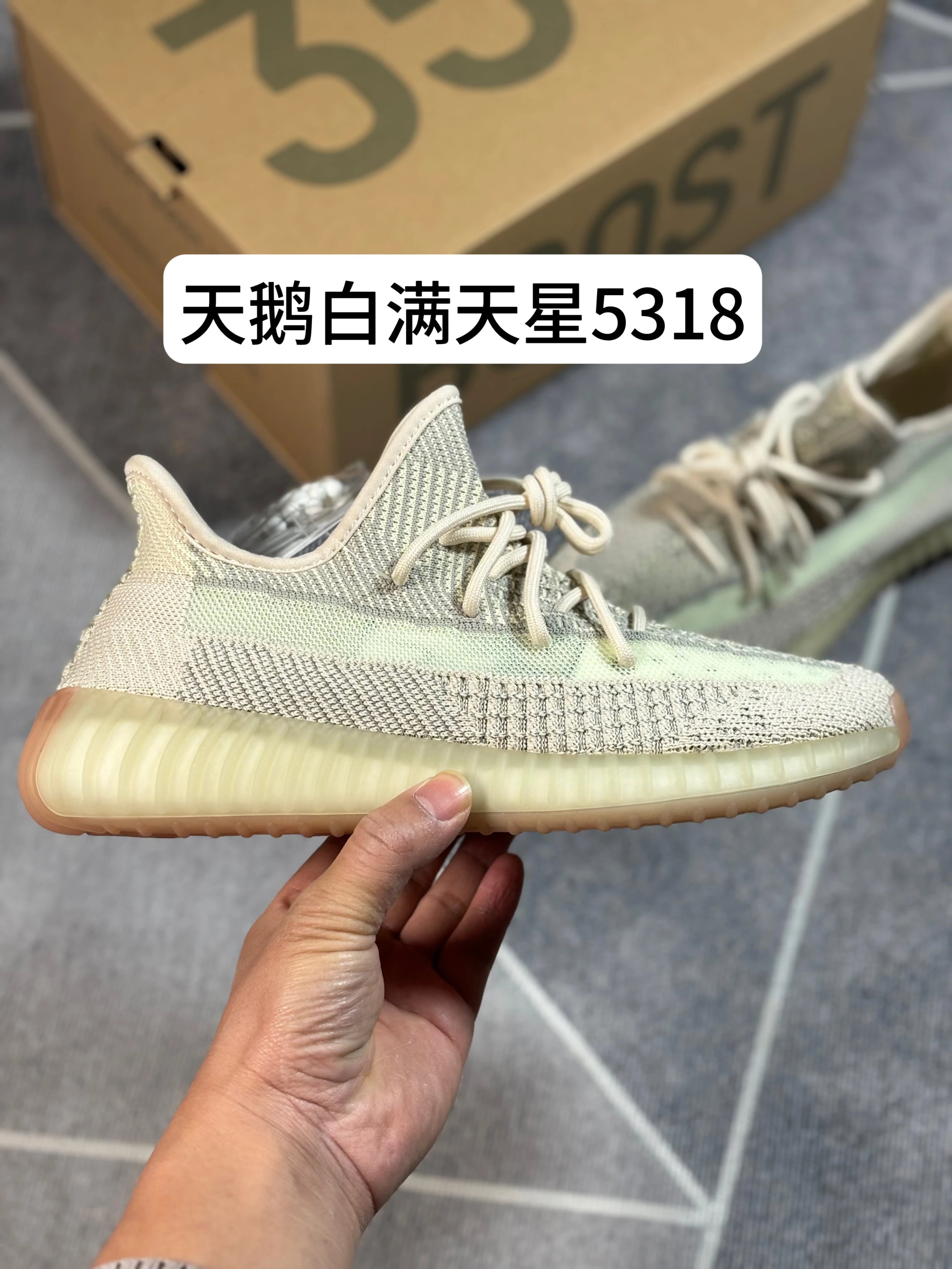 Swan White Glow 5318