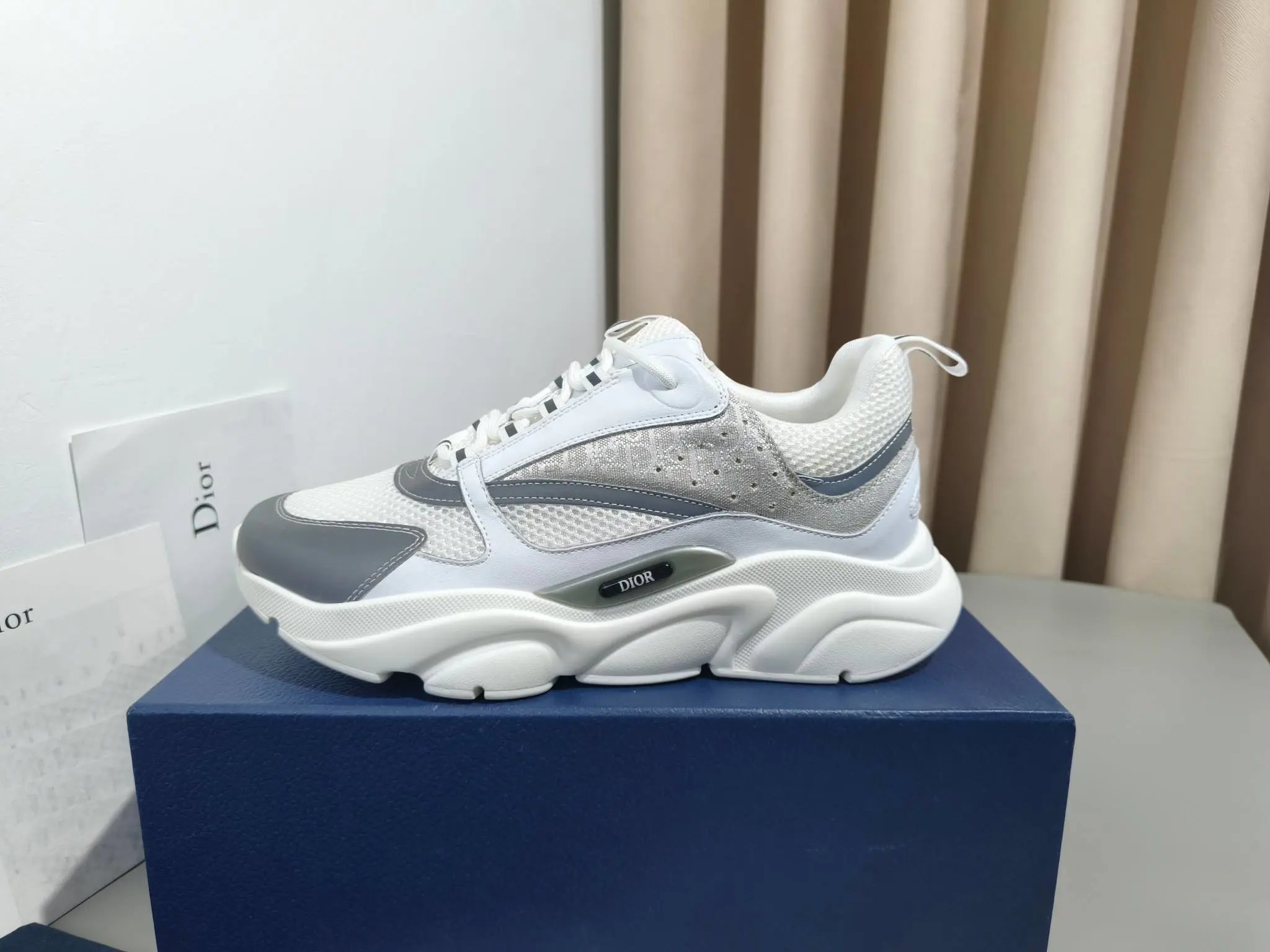 Dior Low-Top Sneakers - Style 2