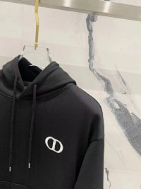 Dior Sweatshirt 4+ colorways [Premium Quality] — seller photo 4