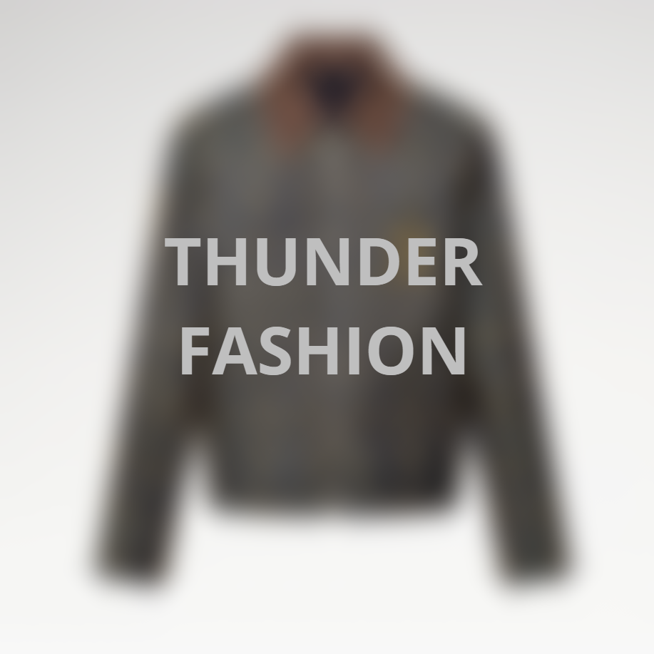 Gold Line Embroidered Jacket