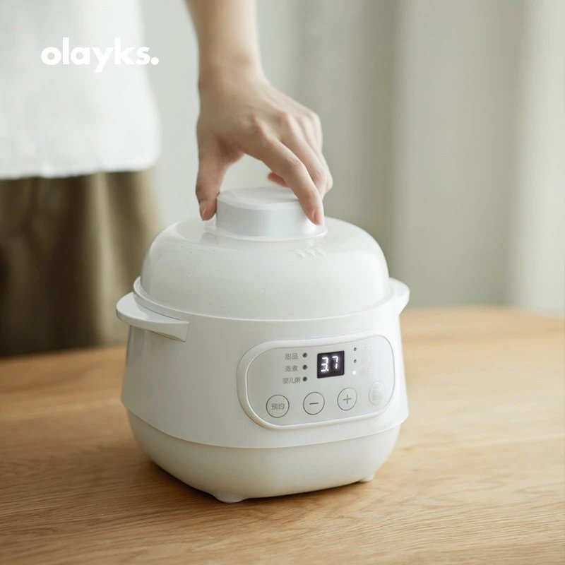 electric stew pot