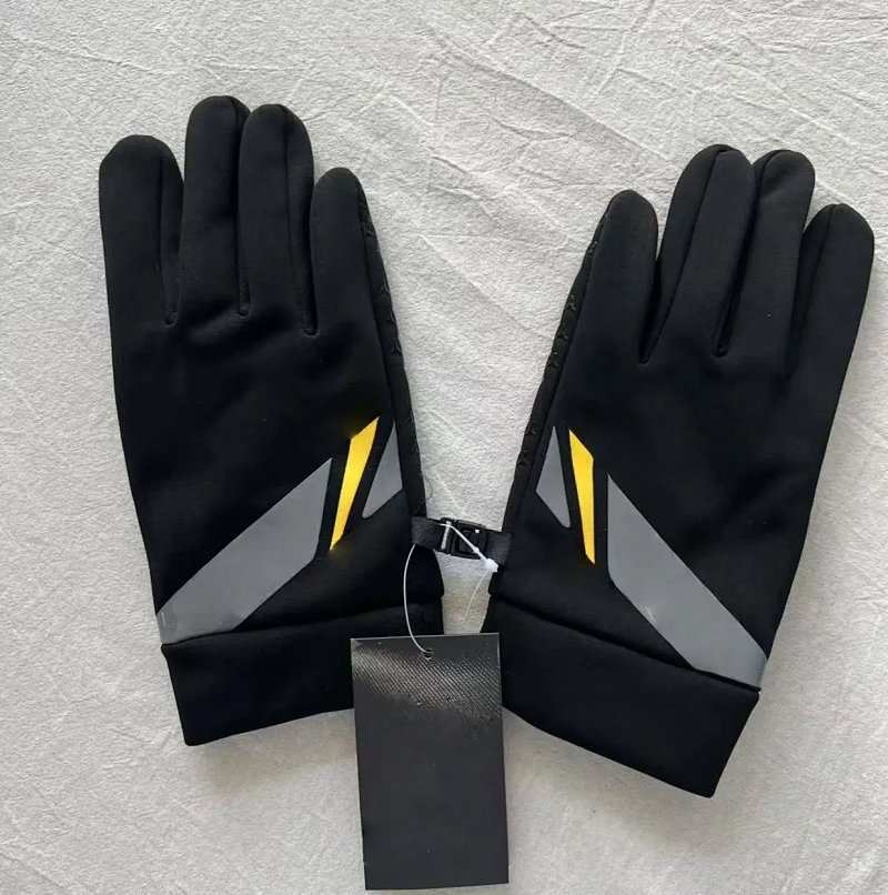 glove 手套  防风手套
