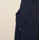 P420 At**om vest