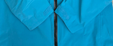 Blue Tetra