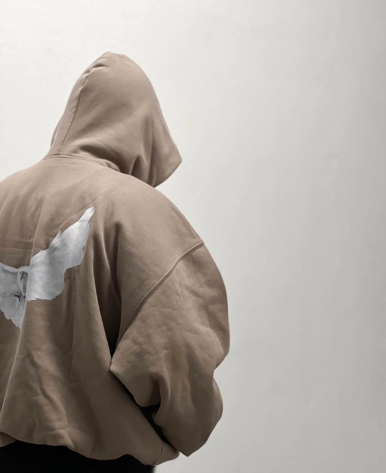 Design Dove Print Oversized Hoodie Gray - 45