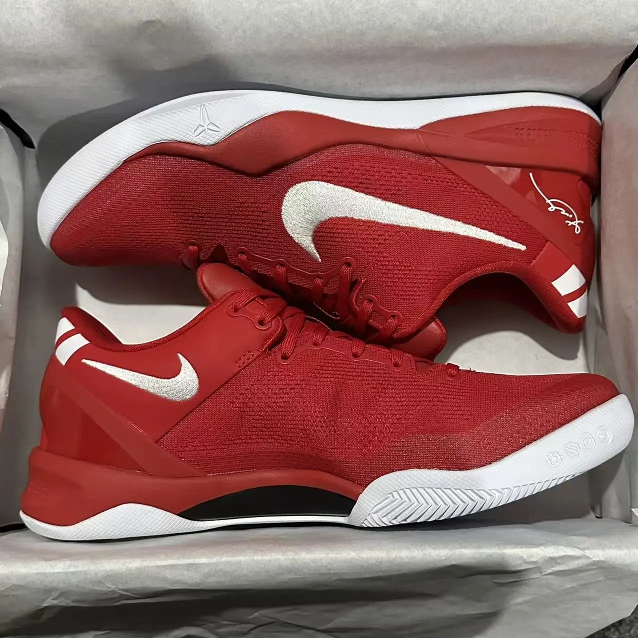 Gx/B Kobe 8“University Red”