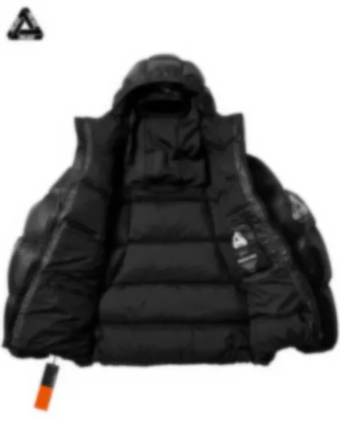 Palace x Moncler Genius 1952 Down Jacket Black - 6
