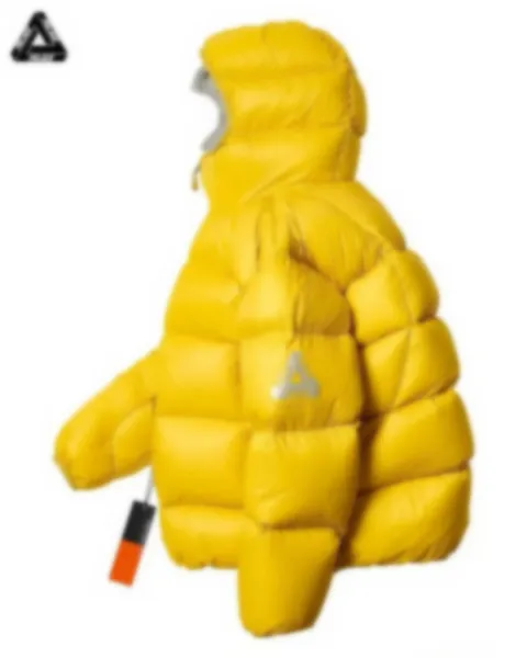 Palace x Moncler Genius 1952 Down Jacket Black - 4