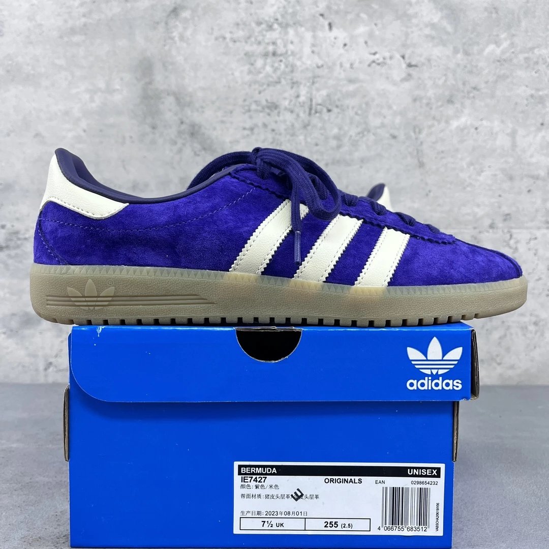 Purple/White IE7427