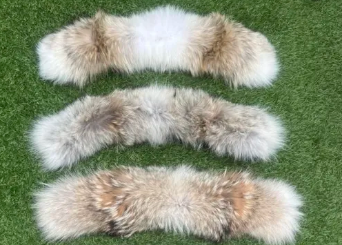 单条毛皮（通用）随机