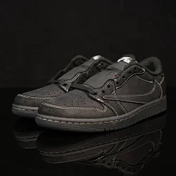 thumbnail for LJR Batch J1 Collection