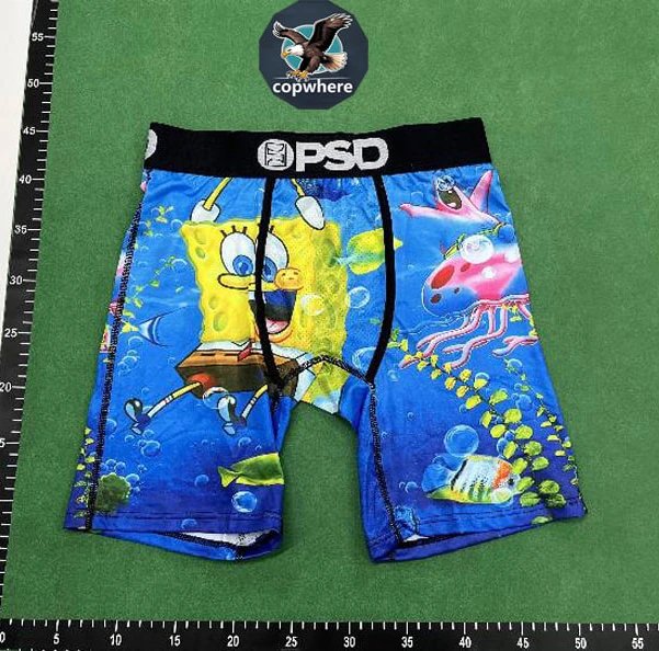 PSD Training Short 1-21