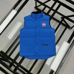 thumbnail for Down Vest (Whats app: +86 152 0596 8861)