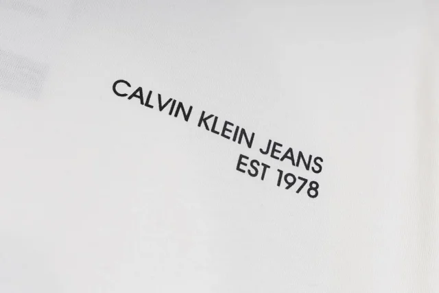 Calvin Klein T-Shirts Jeans CK Logo Print product detail image 73