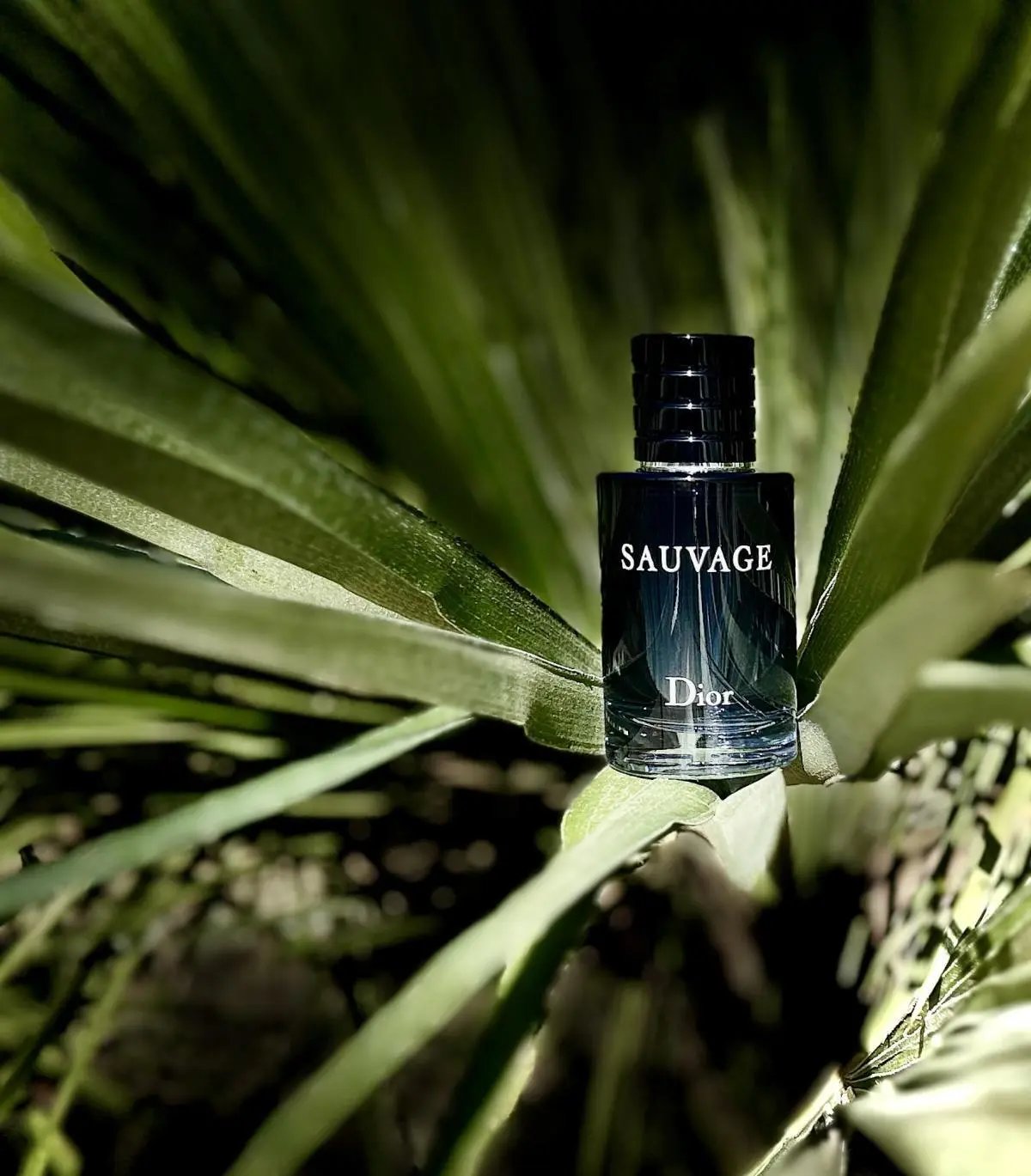 Delivery Sauvage EDP 100ml
