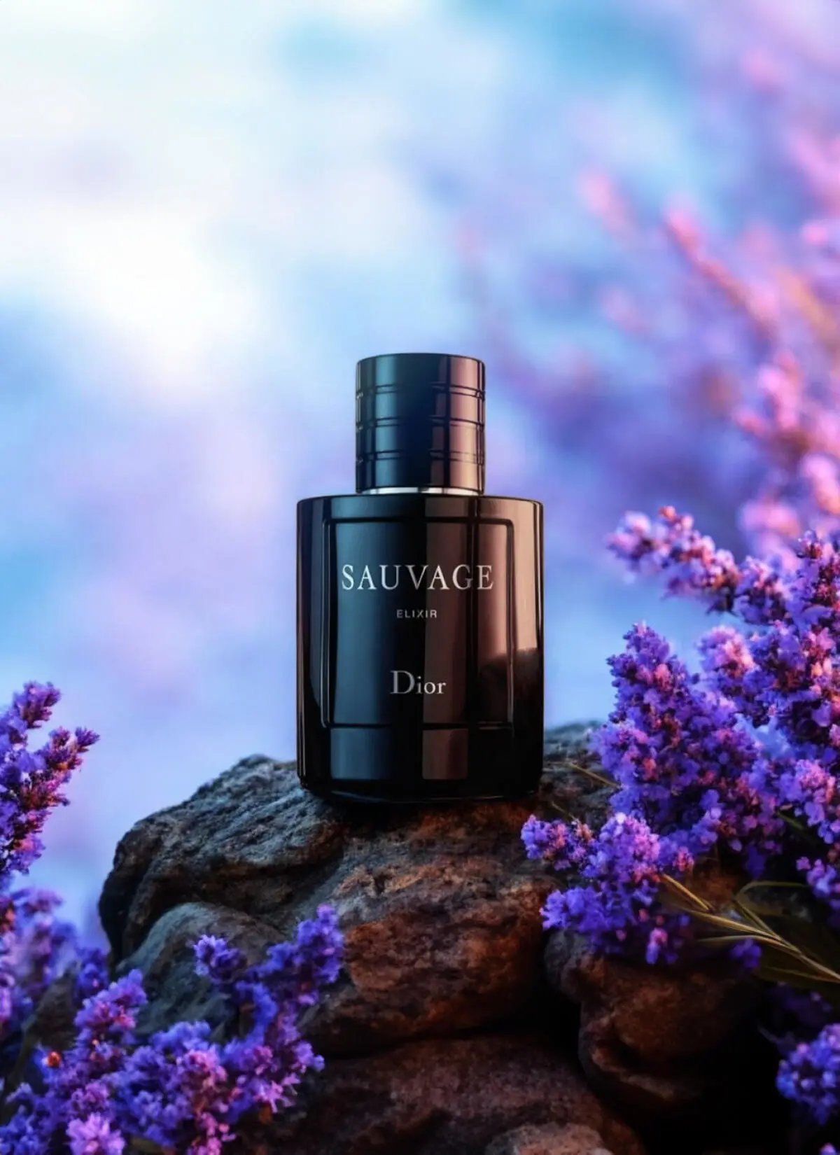 Delivery Sauvage Elixir 100ml
