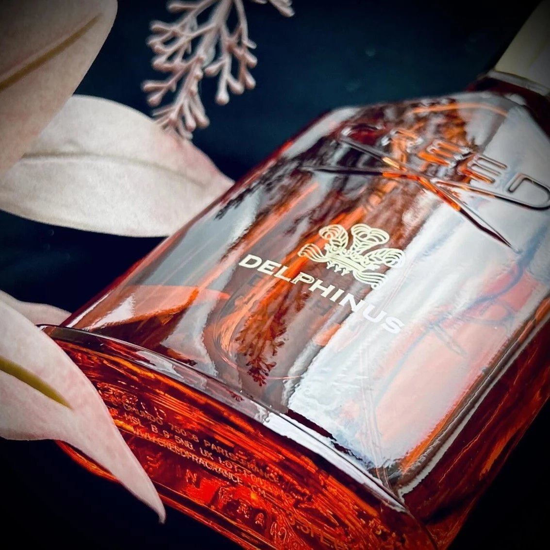 Delphinus Creed 100ML