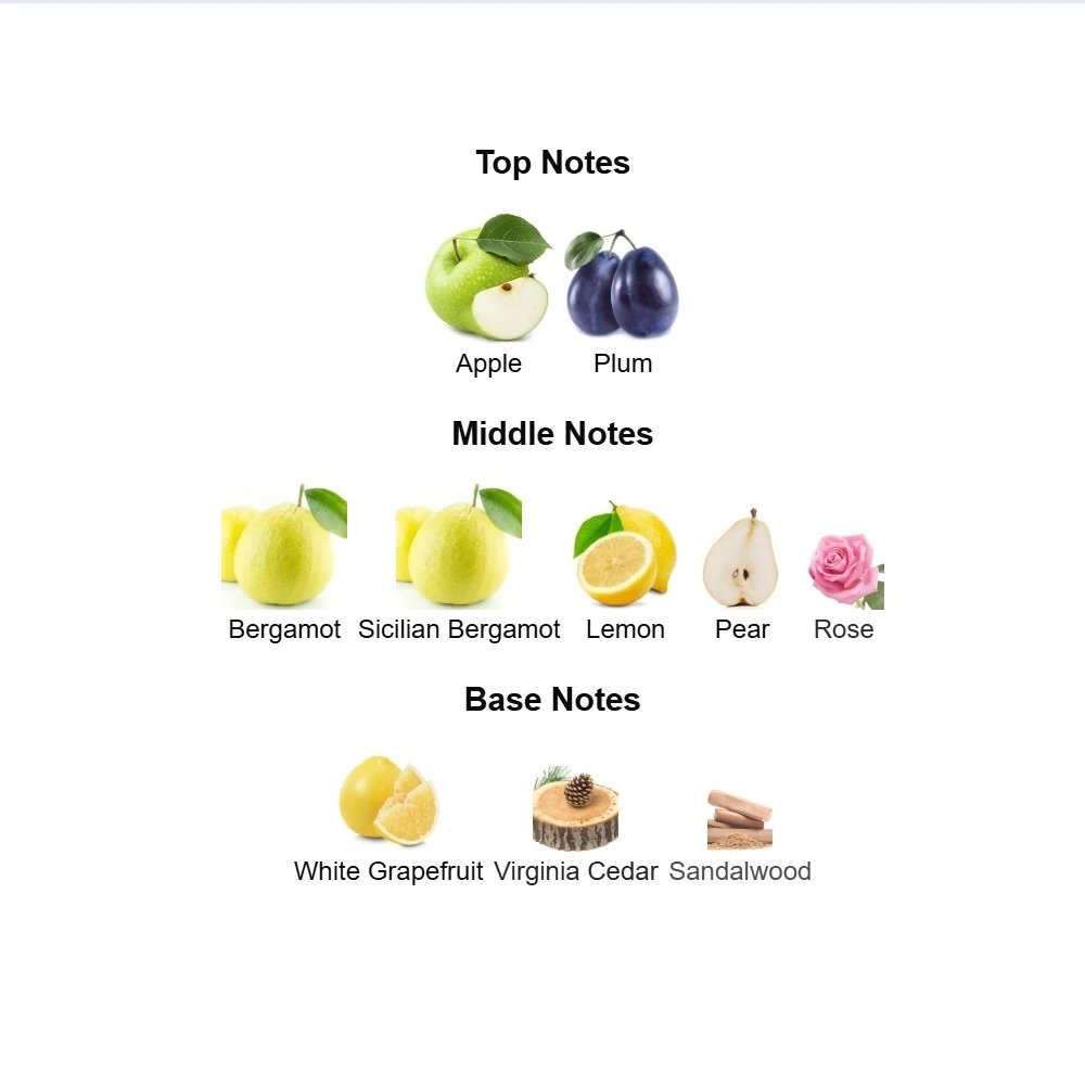 Delivery Fiorentina 75ml