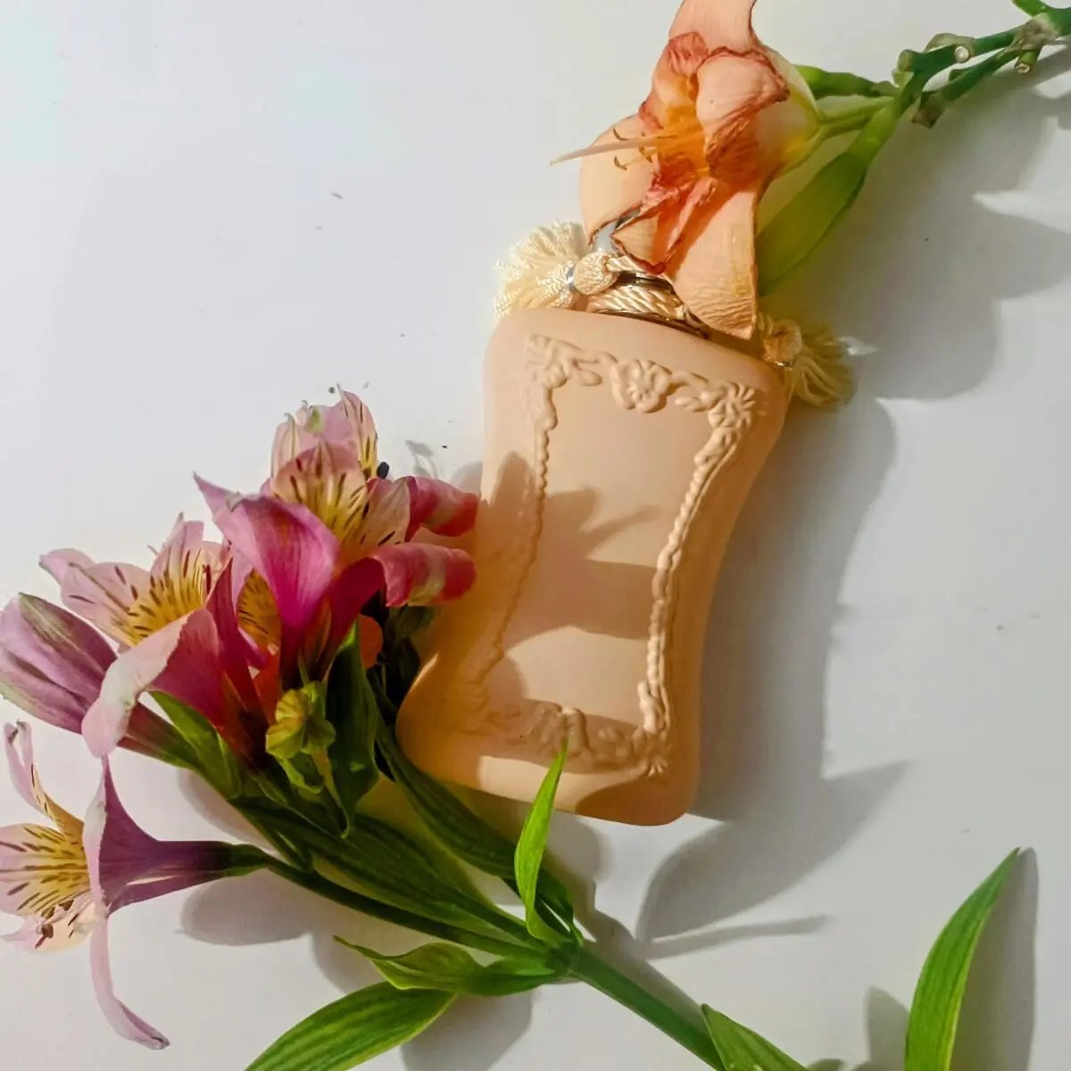 Delivery Fleurissimo 100ml