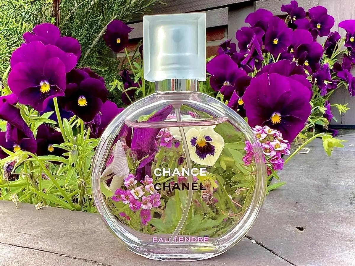 Chance Eau Tendre 100ml