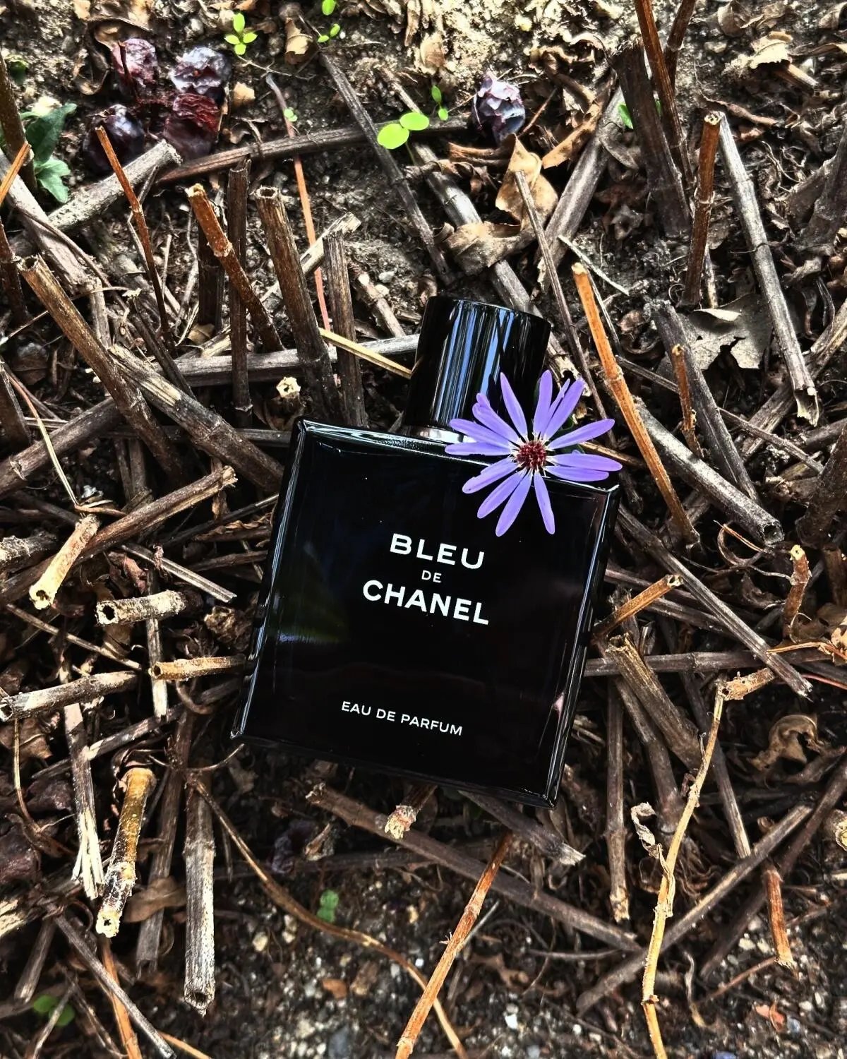 Delivery Bleu de Eau de Parfum 100ml