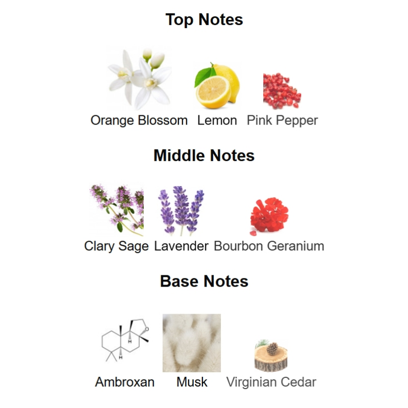 Delivery Man Eau Fraiche Extreme 100ML